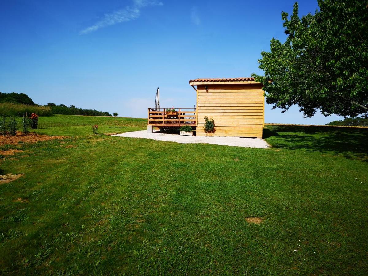 Le Chalet Douillet Saint-Genies Eksteriør bilde