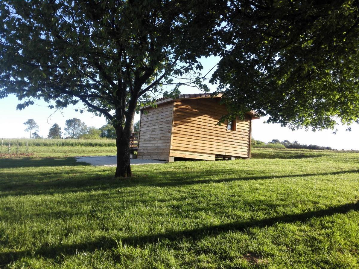 Le Chalet Douillet Saint-Genies Eksteriør bilde